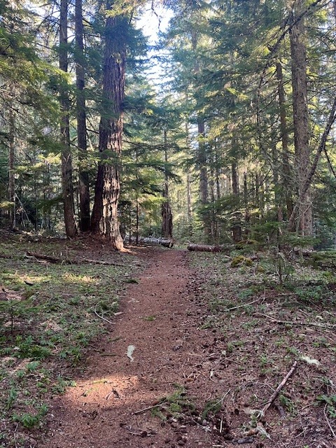 Iron Mountain