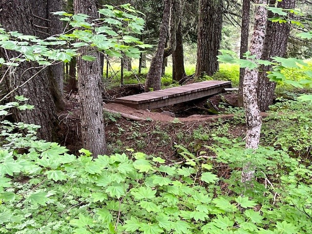 Iron Mountain